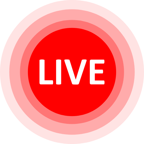 Stripchat Token Price